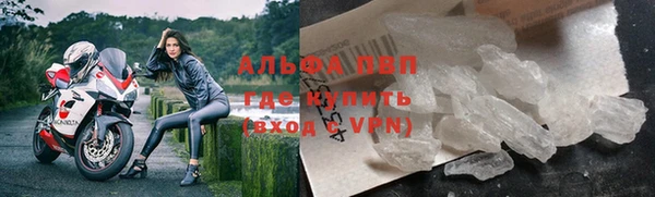 спиды Абаза
