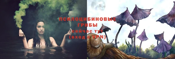 спиды Абаза