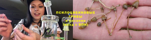 шишки Абинск