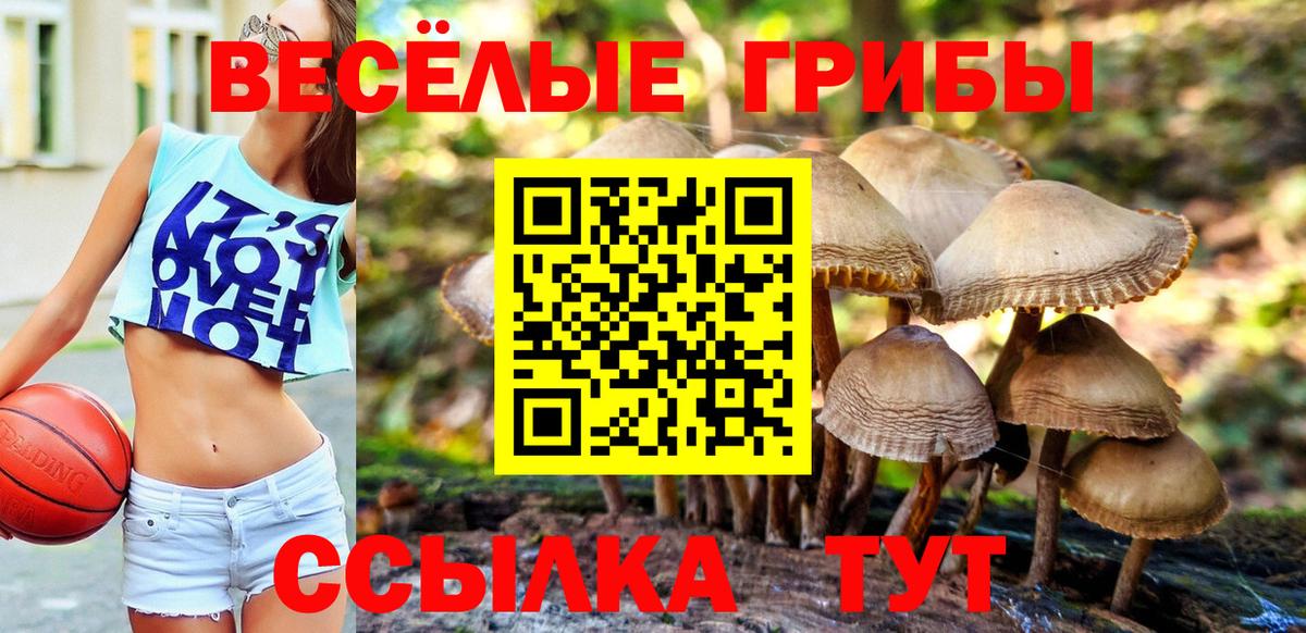 Красный Сулин  Псилоцибиновые грибы Psilocybe  Вход с VPN 